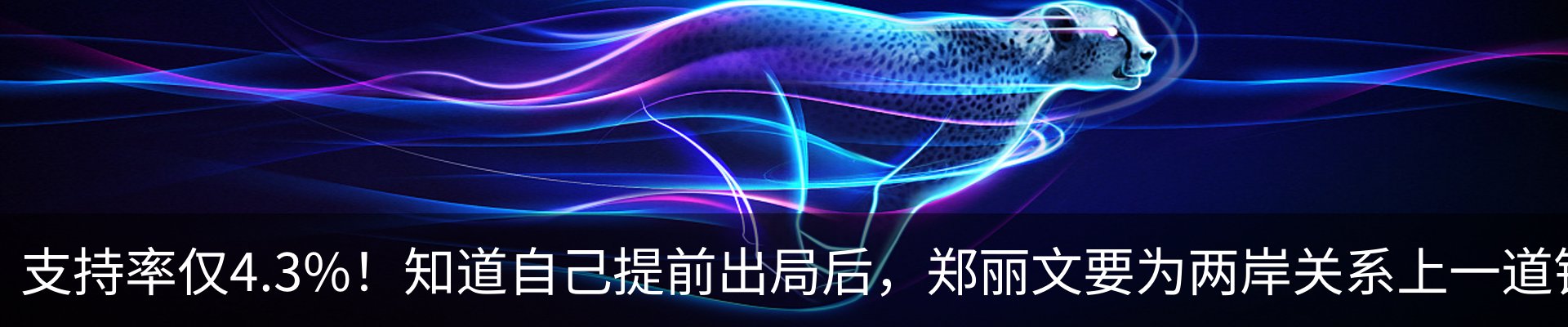 新闻动态